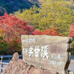 Discover Japans Countryside in Autumn - An In-Depth Look at the Experience