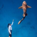 Discover Maafushi in 4 Nights 5 Days (Tour B) - Practical Details and Tips