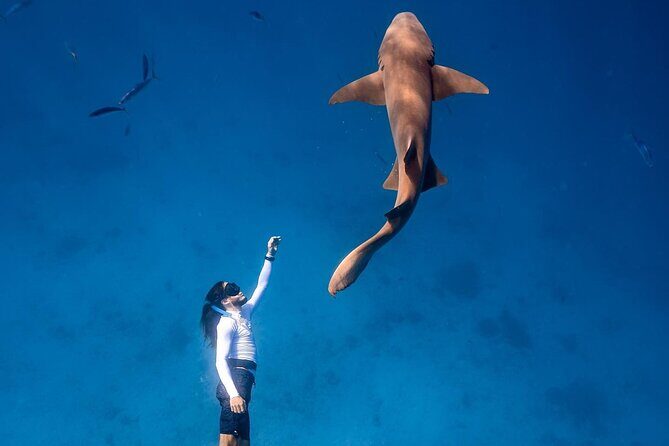 Discover Maafushi in 4 Nights 5 Days (Tour B) - Practical Details and Tips