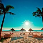 Discover Nha Trang bay by speed boat full day tour - The Practical Side: What to Expect