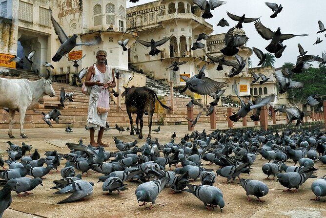 Discover Pushkar Town with Local Guide & Jaipur Drop from Jodhpur - Practical Details and Tips