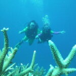 Discover Scuba Diving in Coron - Who Should Consider This Tour?