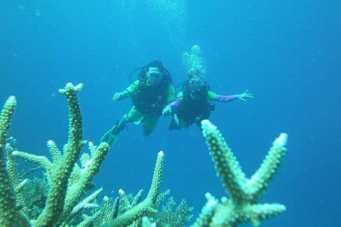 Discover Scuba Diving in Coron - Who Should Consider This Tour?