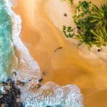Discover Sigiriya by Helicopter from Colombo - Authentic Insights from Others
