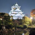 Discover the Hidden Gem of Osaka's Private Walking Tour - The Sum Up