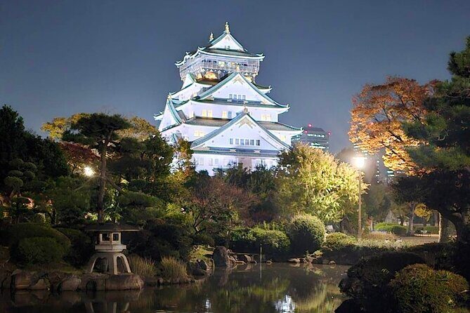 Discover the Hidden Gem of Osaka's Private Walking Tour - The Sum Up