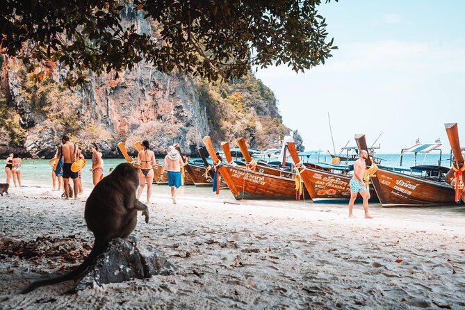 Discovery Phuket & Fantasea Show with Dinner - Final Thoughts - Who is This Tour Perfect For?