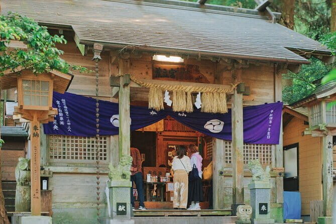 Divine Footsteps & Anime Locations: Takachiho One Day Bus Tour - Who is This Tour Best For?