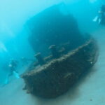 Diving in Kansai, Japan for License Holders - Who Will Love This Tour?