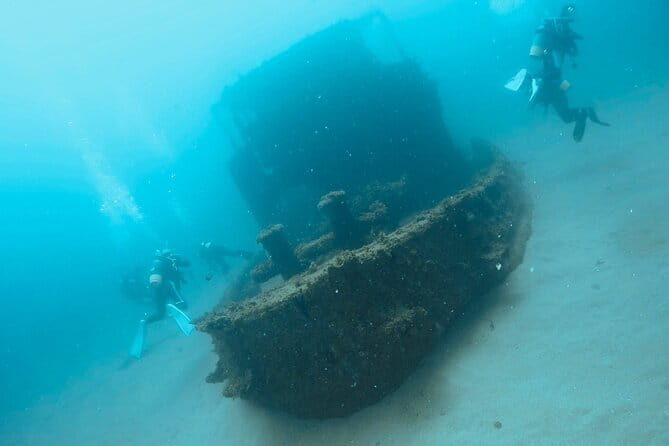 Diving in Kansai, Japan for License Holders - Who Will Love This Tour?