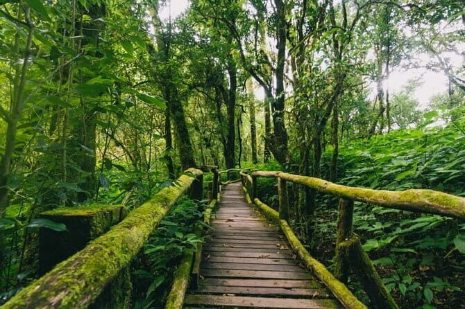 Doi Inthanon National Park - Exploring Doi Inthanon: The Heart of the Experience
