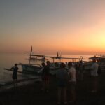 Dolphin Watching Experience at North Bali - Who Should Book This Tour?