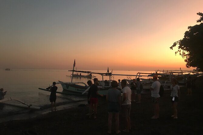Dolphin Watching Experience at North Bali - Who Should Book This Tour?
