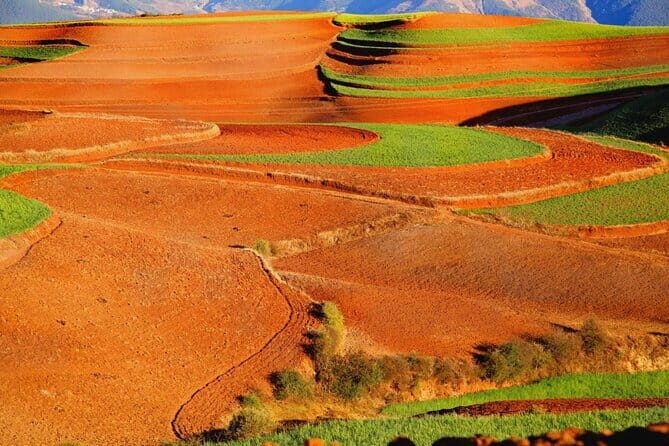 Dongchuan Red Land Private Tour - The Sum Up