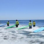 Double lion surfing in foreign Australia, the first choice for high-quality teaching experience - Who Is This Tour Best For?