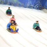 Dream World & Snow Town Theme Park Ticket - Hotel Pickup & Lunch - Starting Point: Hotel Pickup and Transfer