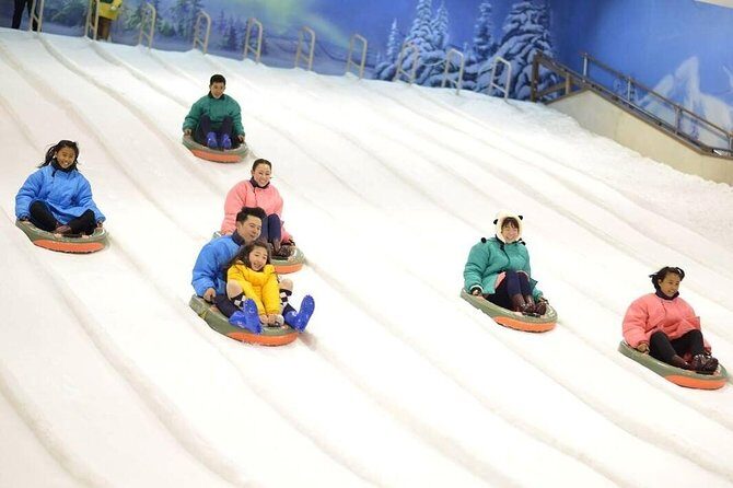 Dream World & Snow Town Theme Park Ticket - Hotel Pickup & Lunch - Starting Point: Hotel Pickup and Transfer