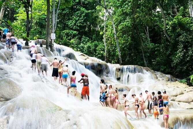 Dunn's River Falls and Horseback Riding Tour from Montego Bay - Who Will Enjoy This Tour?