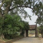 Duong Lam Ancient  Van Phuc Silk Villages Private Tour - FAQ