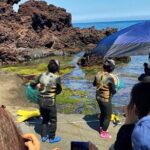 Eastern Jeju: All Inclusive Private Tour w/ Tangerine picking - Final Thoughts: Who Will Love This Tour?