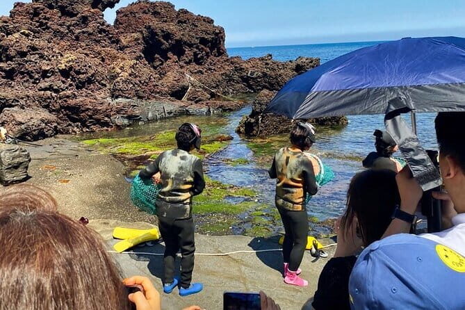 Eastern Jeju: All Inclusive Private Tour w/ Tangerine picking - Final Thoughts: Who Will Love This Tour?