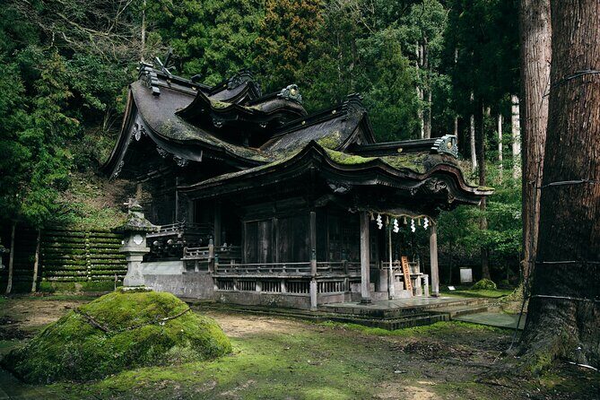 Echizen Lacquerware and Washi Paper Craft Tour - Who is This Tour Best For?