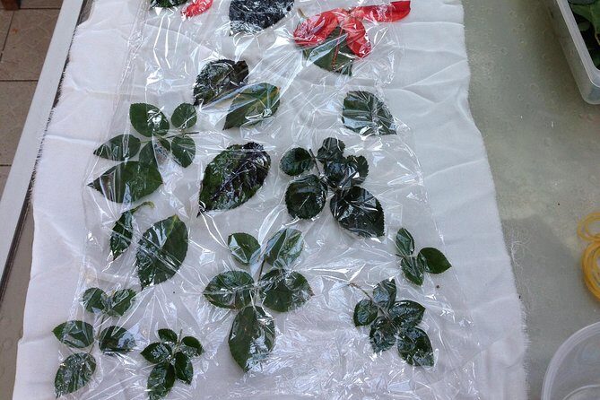 Eco Printing & Natural Dyeing Technique - Exploring the Experience