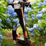 Electric Scooter&Bike Rental in Okinawa - In-Depth Breakdown of the Experience