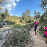 Elephant Watching and Thai Cooking Class with Waterfall - Who Is This Tour Best Suited For?