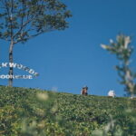 Ella Day Tour with Tea Factory All Inclusive Tour from Hambantota - Ravana Falls: Nature’s Cascading Wonder