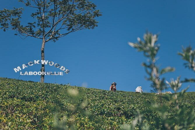 Ella Day Tour with Tea Factory All Inclusive Tour from Hambantota - Ravana Falls: Nature’s Cascading Wonder