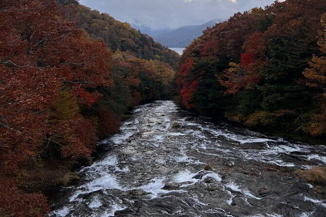 English-speaking guided day tour of Nikko with a private vehicle - Who Is This Tour Best Suited For?