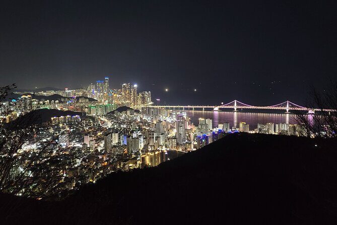Enjoy the night view of Busan from Hwangnyeongsan Mountain - Who Should Consider This Tour?