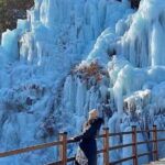 Eobi Ice Valley Nami Island and Alpaca World Tour from Seoul - Final Thoughts