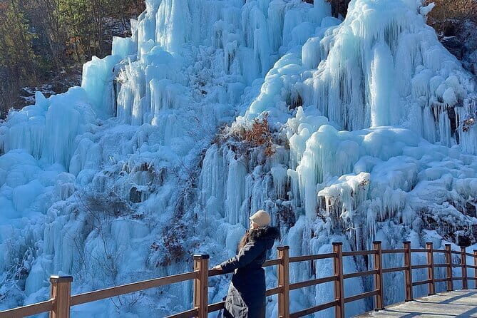 Eobi Ice Valley Nami Island and Alpaca World Tour from Seoul - Final Thoughts
