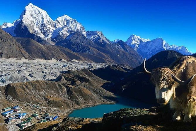 Everest Base Camp Via Gokyo Chola Pass - The Experience: What You Can Expect