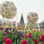 Everland Resort (the worlds 7th-largest theme park) - Final Thoughts on Value and Suitability