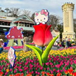 Everland Theme Park Private Transfer (From Seoul) - A Closer Look at the Experience