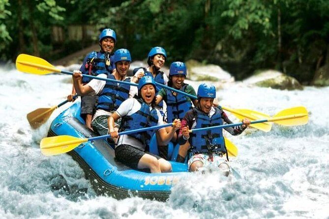 Exciting White Water Rafting and Swing at Tegallalang Rice Terrace Package - What Could Be Better?