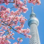 Experience Asakusa Cherry Blossoms and Traditional Food Tour - Visiting Senso-ji Temple: Spiritual and Cultural Heart