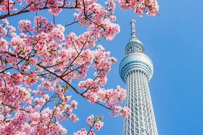Experience Asakusa Cherry Blossoms and Traditional Food Tour - Visiting Senso-ji Temple: Spiritual and Cultural Heart
