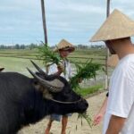Experience Buffalo riding & farming w Local Farmer - Authenticity and Cultural Value