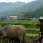 Experience Custom Day Trek Adventure in Sapa - Practical Details and What You Should Know