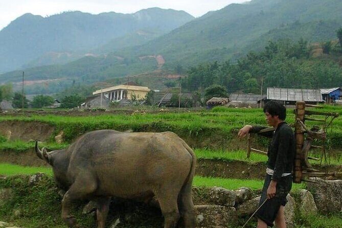 Experience Custom Day Trek Adventure in Sapa - Practical Details and What You Should Know