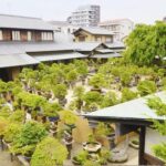 Experience Edo Tokyo Walking Tour - Authentic Experiences from Reviews