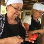 Experience Local Hmong Cooking Class - Homestay in Sapa - A Deep Dive into the Experience