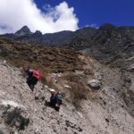 Experience the Best of Langtang and Helambu on a Stunning Trek Adventure - Practical Aspects and Value