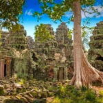 Explore Angkor Wat With TukTuk Tour - Who Is This Tour Best Suited For?