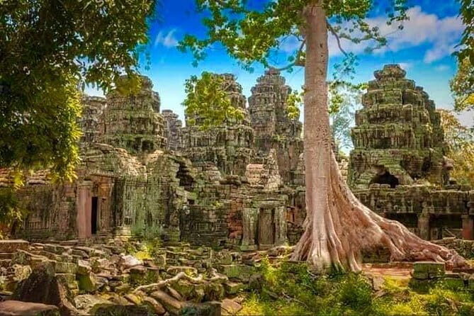 Explore Angkor Wat With TukTuk Tour - Who Is This Tour Best Suited For?