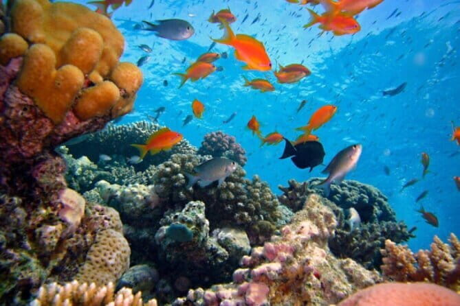 Explore Balis Amed Reefs Fully Inclusive Snorkeling Day Tour - The Itinerary Breakdown